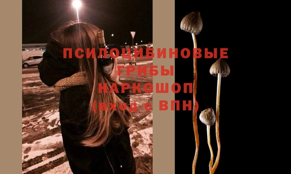 мет Белокуриха