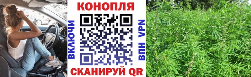 Купить  Уржум  Каннабис OG Kush 